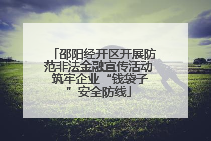 邵阳经开区开展防范非法金融宣传活动 筑牢企业“钱袋子”安全防线