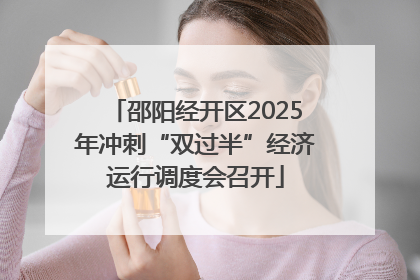 邵阳经开区2025年冲刺“双过半”经济运行调度会召开