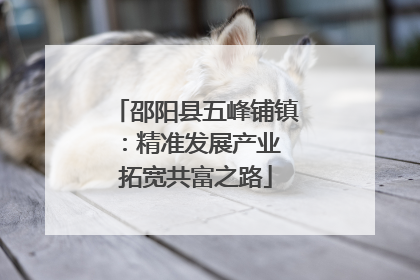 邵阳县五峰铺镇：精准发展产业 拓宽共富之路