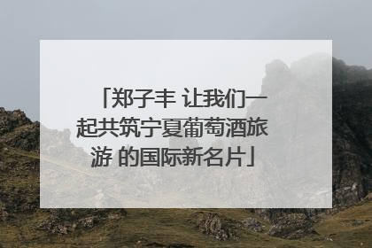 郑子丰 让我们一起共筑宁夏葡萄酒旅游 的国际新名片