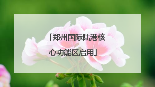 郑州国际陆港核心功能区启用