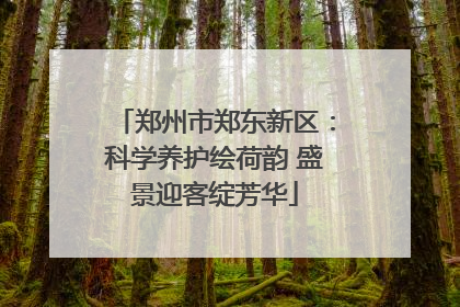 郑州市郑东新区：科学养护绘荷韵 盛景迎客绽芳华