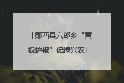 郧西县六郎乡“黄板护椒”促绿兴农