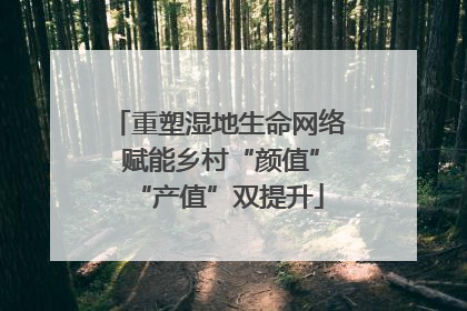 重塑湿地生命网络 赋能乡村“颜值”“产值”双提升