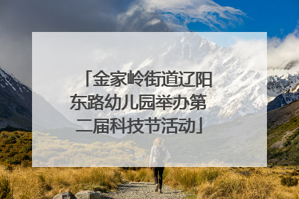 金家岭街道辽阳东路幼儿园举办第二届科技节活动