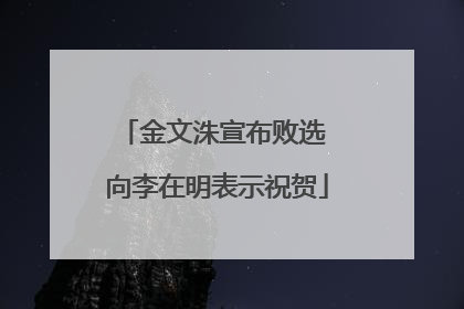 金文洙宣布败选 向李在明表示祝贺