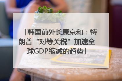 韩国前外长康京和：特朗普“对等关税”加速全球GDP缩减的趋势