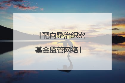 靶向整治织密基金监管网络