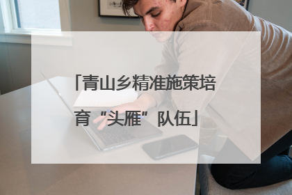 青山乡精准施策培育“头雁”队伍