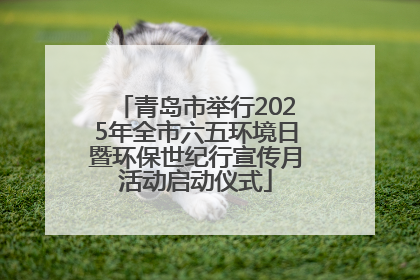 青岛市举行2025年全市六五环境日暨环保世纪行宣传月活动启动仪式