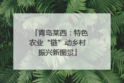 青岛莱西：特色农业“链”动乡村振兴新图景