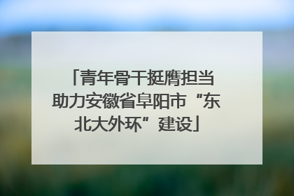 青年骨干挺膺担当 助力安徽省阜阳市“东北大外环”建设