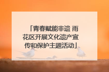 青春赋能非遗 雨花区开展文化遗产宣传和保护主题活动
