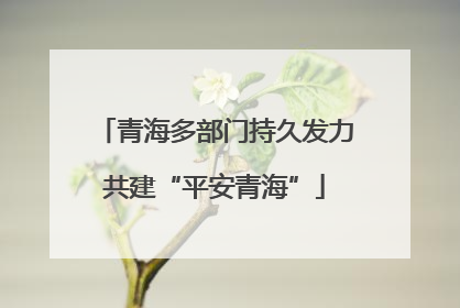 青海多部门持久发力共建“平安青海”