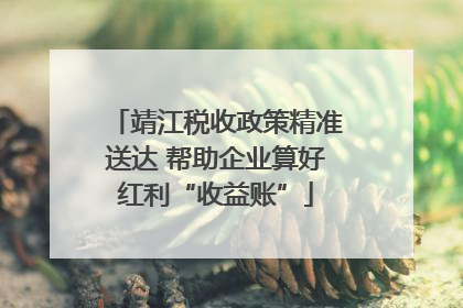 靖江税收政策精准送达 帮助企业算好红利“收益账”