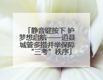 静音键按下 护梦想启航——道县城管多措并举保障“三考”秩序