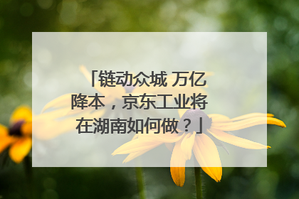 链动众城 万亿降本，京东工业将在湖南如何做？