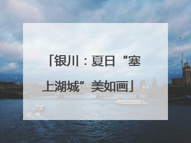 银川：夏日“塞上湖城”美如画