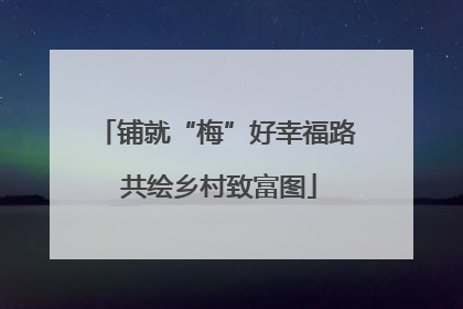 铺就“梅”好幸福路 共绘乡村致富图
