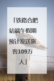 铁路合肥站端午假期预计发送旅客109万人