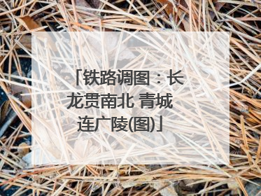 铁路调图：长龙贯南北 青城连广陵(图)