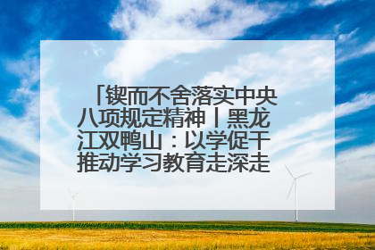 锲而不舍落实中央八项规定精神丨黑龙江双鸭山：以学促干推动学习教育走深走实 从小事入手写好“民生答卷”