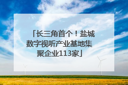 长三角首个！盐城数字视听产业基地集聚企业113家