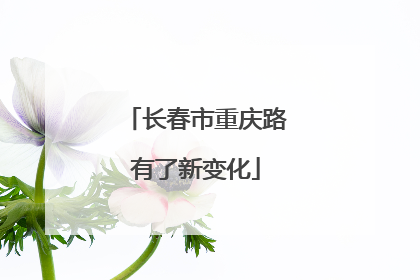 长春市重庆路有了新变化