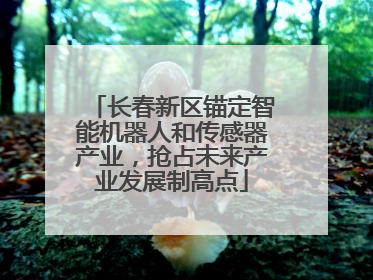 长春新区锚定智能机器人和传感器产业，抢占未来产业发展制高点