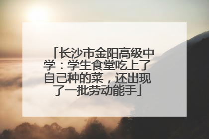 长沙市金阳高级中学：学生食堂吃上了自己种的菜，还出现了一批劳动能手
