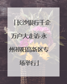 长沙银行千企万户大走访·永州祁阳高新区专场举行