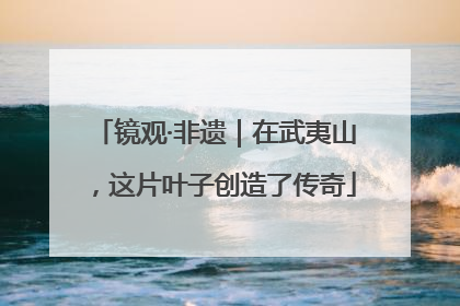 镜观·非遗｜在武夷山，这片叶子创造了传奇
