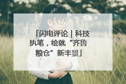 闪电评论｜科技执笔，绘就“齐鲁粮仓”新丰景