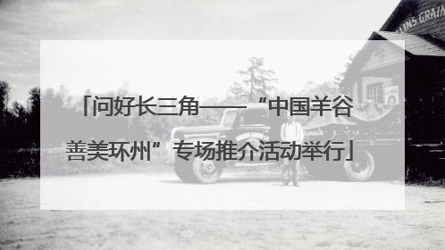 问好长三角——“中国羊谷 善美环州”专场推介活动举行