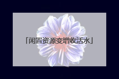 闲置资源变增收活水