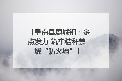 阜南县鹿城镇：多点发力 筑牢秸秆禁烧“防火墙”