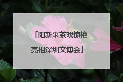 阳新采茶戏惊艳亮相深圳文博会