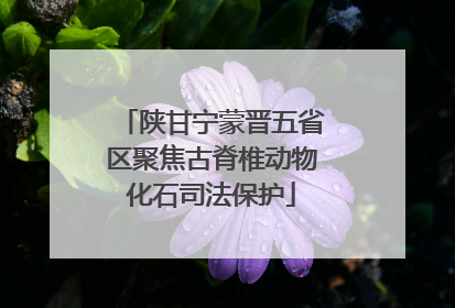 陕甘宁蒙晋五省区聚焦古脊椎动物化石司法保护