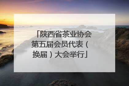 陕西省茶业协会第五届会员代表（换届）大会举行