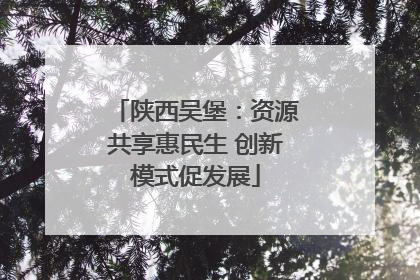 陕西吴堡：资源共享惠民生 创新模式促发展