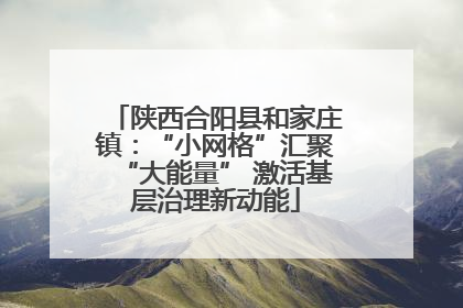 陕西合阳县和家庄镇：“小网格”汇聚“大能量” 激活基层治理新动能