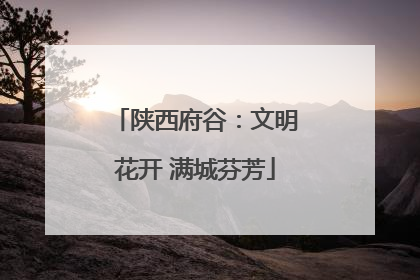 陕西府谷：文明花开 满城芬芳