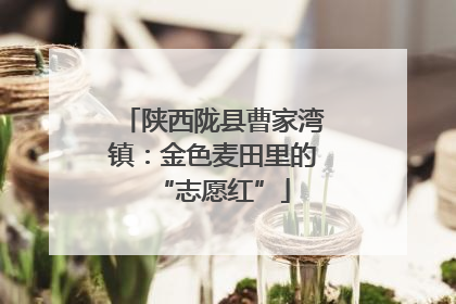 陕西陇县曹家湾镇：金色麦田里的“志愿红”