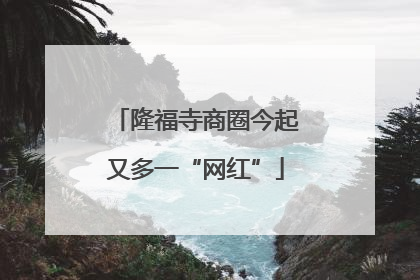 隆福寺商圈今起又多一“网红”