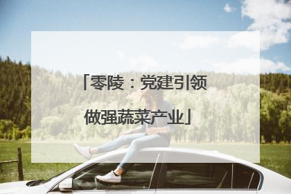 零陵：党建引领 做强蔬菜产业