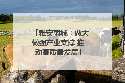 雅安雨城：做大做强产业支撑 推动高质量发展