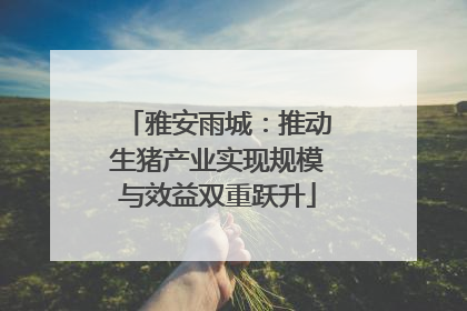 雅安雨城：推动生猪产业实现规模与效益双重跃升