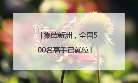 集结新洲，全国500名高手已就位
