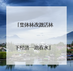 集体林改激活林下经济一池春水