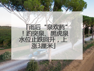 雨后“泉欢腾”！趵突泉、黑虎泉水位止跌回升，上涨3厘米